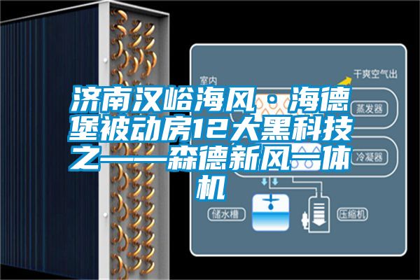 濟南漢峪海風(fēng)·海德堡被動房12大黑科技之——森德新風(fēng)一體機