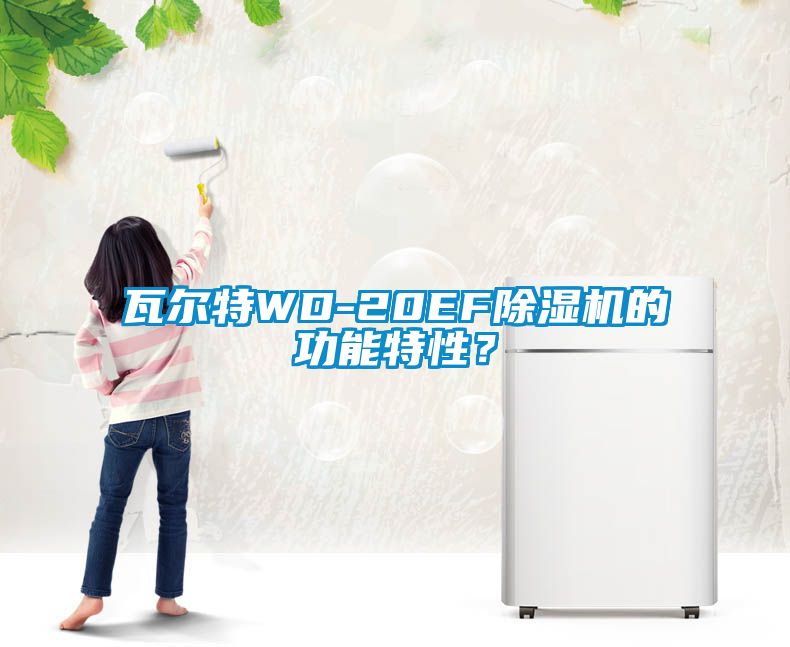 瓦爾特WD-20EF除濕機(jī)的功能特性？