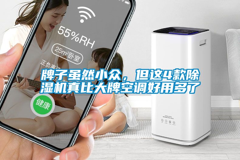 牌子雖然小眾，但這4款除濕機真比大牌空調好用多了