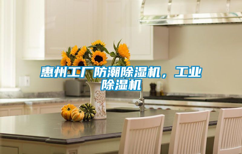 惠州工廠防潮除濕機(jī)，工業(yè)除濕機(jī)