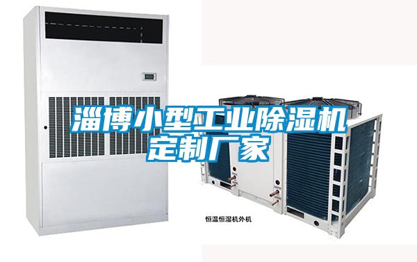 淄博小型工業(yè)除濕機(jī)定制廠家
