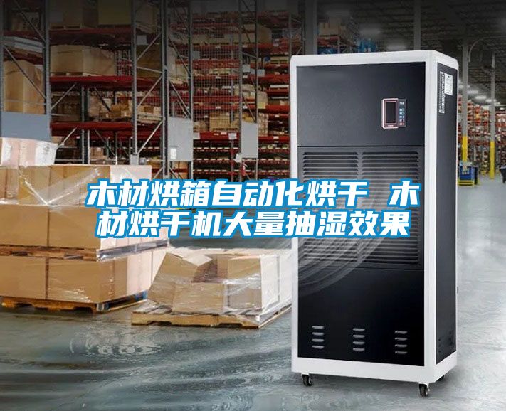 木材烘箱自動化烘干 木材烘干機大量抽濕效果