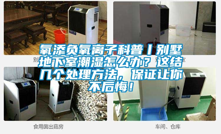 氧添負(fù)氧離子科普丨別墅地下室潮濕怎么辦？這結(jié)幾個處理方法，保證讓你不后悔！