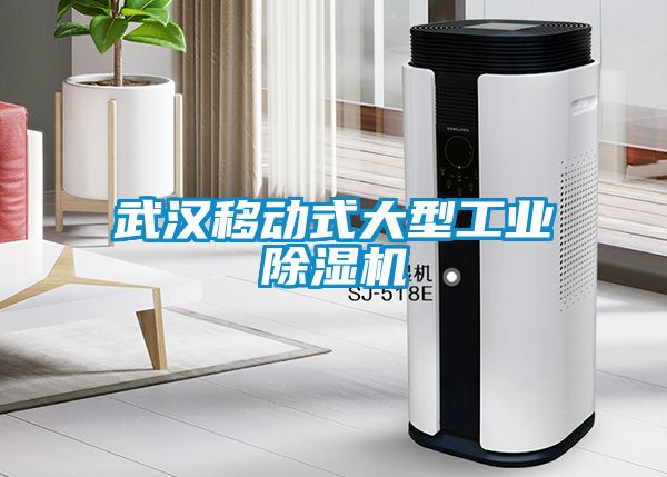 武漢移動式大型工業(yè)除濕機(jī)
