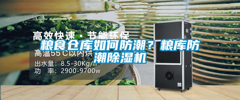 糧食倉(cāng)庫(kù)如何防潮？糧庫(kù)防潮除濕機(jī)