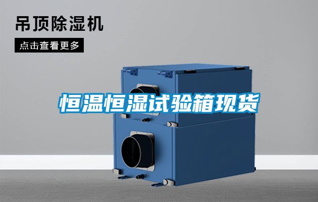 恒溫恒濕試驗箱現(xiàn)貨