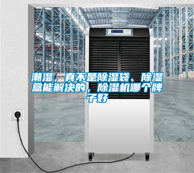 潮濕，真不是除濕袋、除濕盒能解決的，除濕機哪個牌子好