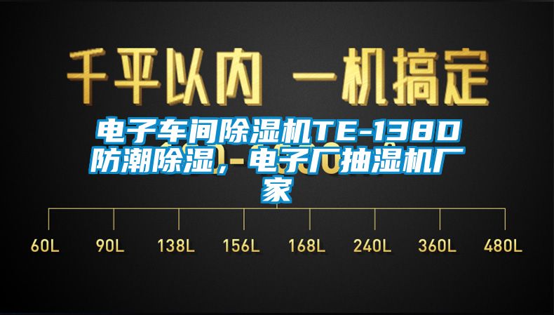 電子車間除濕機TE-138D防潮除濕，電子廠抽濕機廠家