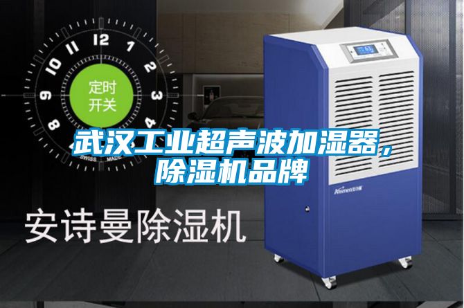 武漢工業(yè)超聲波加濕器，除濕機(jī)品牌