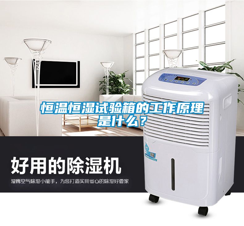 恒溫恒濕試驗(yàn)箱的工作原理是什么？