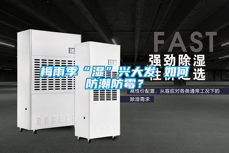 梅雨季“濕”興大發 如何防潮防霉？