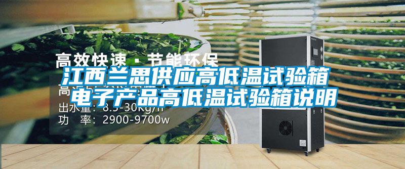 江西蘭思供應(yīng)高低溫試驗(yàn)箱 電子產(chǎn)品高低溫試驗(yàn)箱說(shuō)明