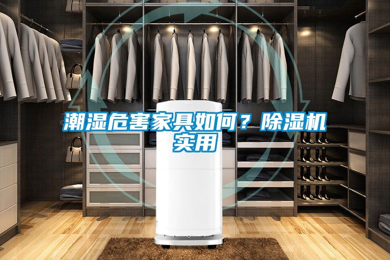 潮濕危害家具如何？除濕機實用