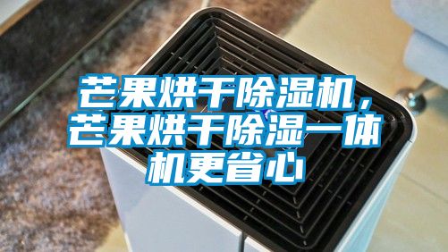 芒果烘干除濕機，芒果烘干除濕一體機更省心