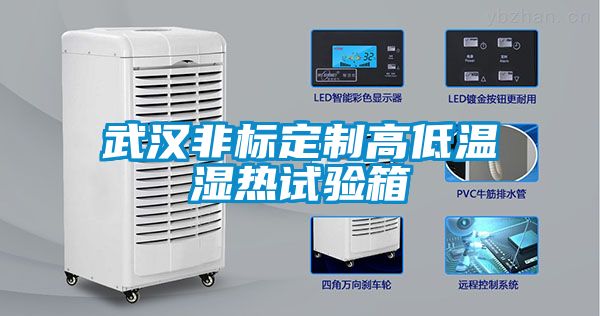 武漢非標(biāo)定制高低溫濕熱試驗箱