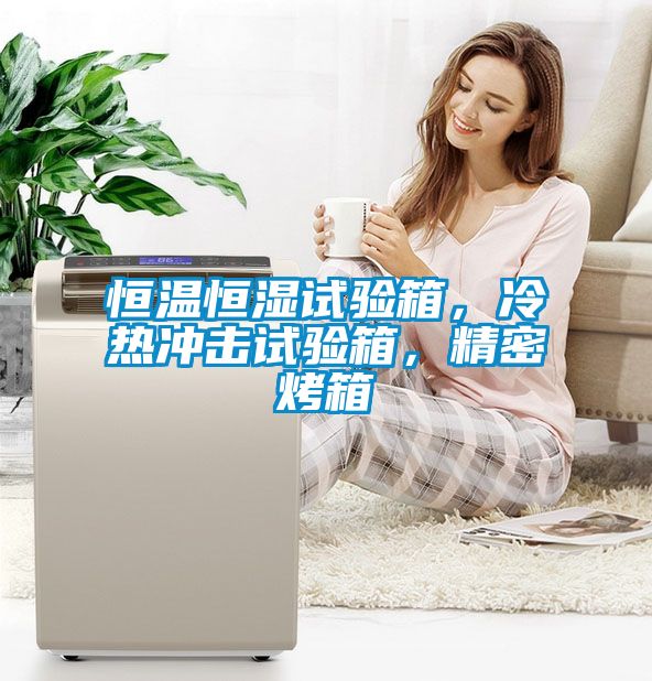 恒溫恒濕試驗箱，冷熱沖擊試驗箱，精密烤箱