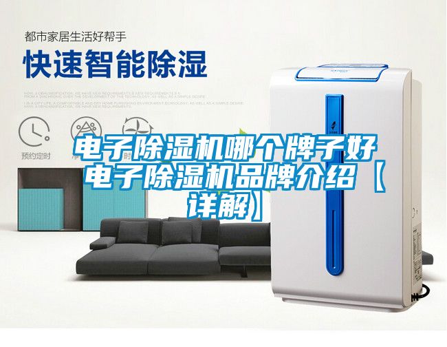 電子除濕機(jī)哪個牌子好 電子除濕機(jī)品牌介紹【詳解】