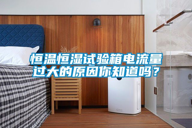 恒溫恒濕試驗箱電流量過大的原因你知道嗎？