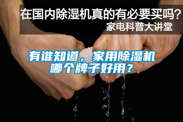 有誰知道，家用除濕機哪個牌子好用？