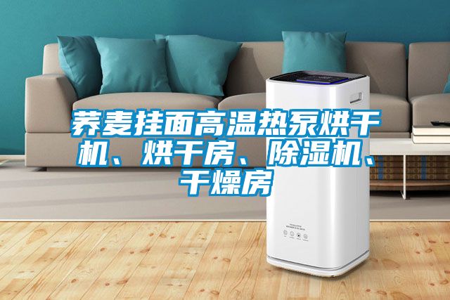 蕎麥掛面高溫?zé)岜煤娓蓹C(jī)、烘干房、除濕機(jī)、干燥房
