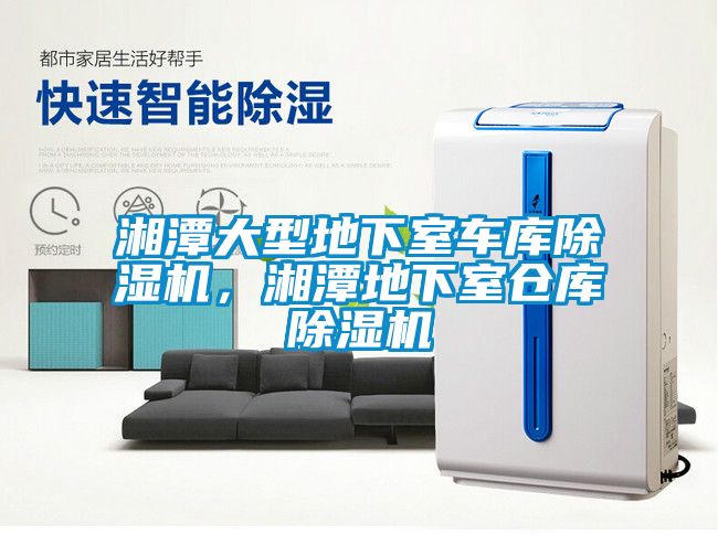 湘潭大型地下室車庫除濕機，湘潭地下室倉庫除濕機