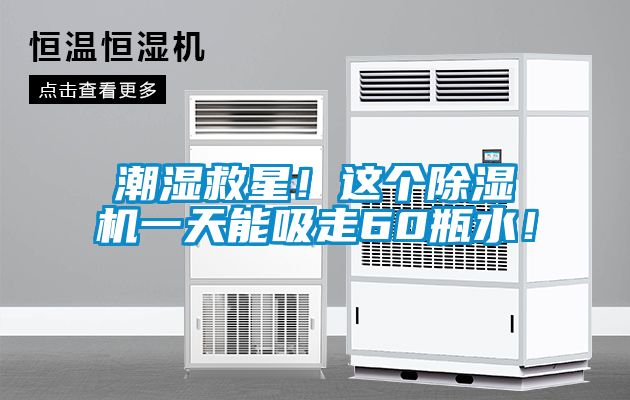 潮濕救星！這個除濕機一天能吸走60瓶水！