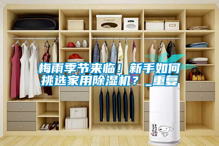 梅雨季節來臨！新手如何挑選家用除濕機？_重復