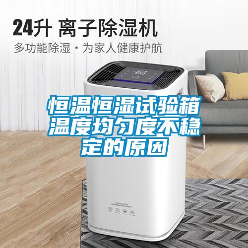 恒溫恒濕試驗箱溫度均勻度不穩(wěn)定的原因