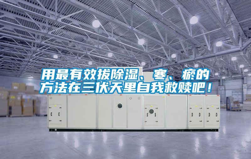 用最有效拔除濕、寒、瘀的方法在三伏天里自我救贖吧！