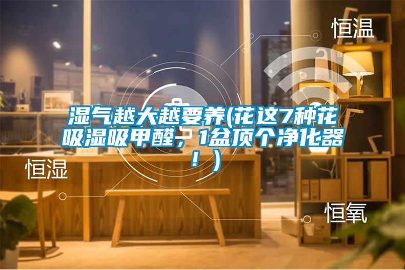 濕氣越大越要養(yǎng)(花這7種花吸濕吸甲醛，1盆頂個(gè)凈化器！)