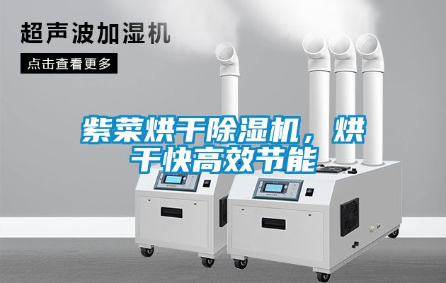 紫菜烘干除濕機，烘干快高效節(jié)能