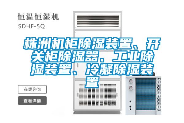 株洲機柜除濕裝置、開關(guān)柜除濕器、工業(yè)除濕裝置、冷凝除濕裝置