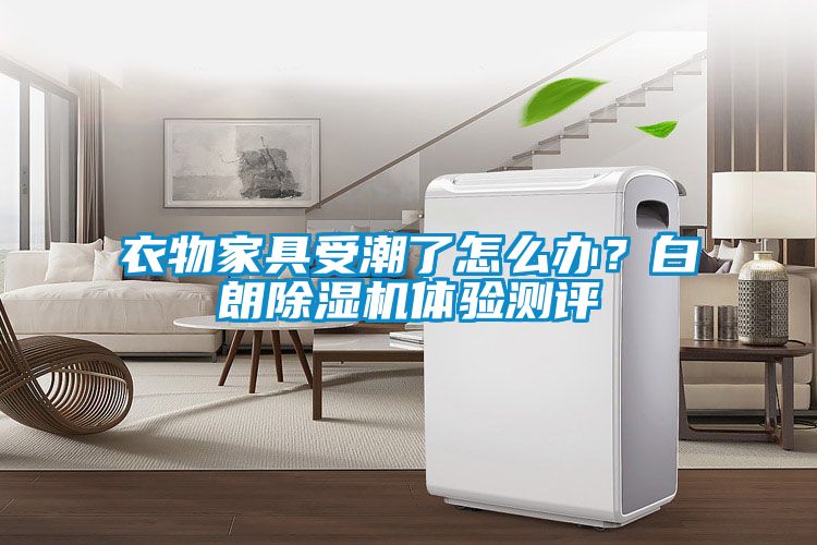 衣物家具受潮了怎么辦？白朗除濕機體驗測評