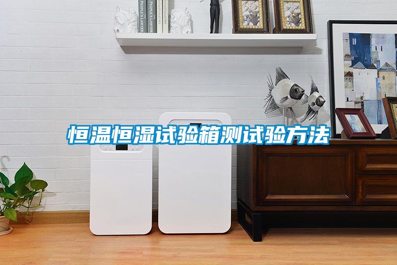 恒溫恒濕試驗(yàn)箱測(cè)試驗(yàn)方法