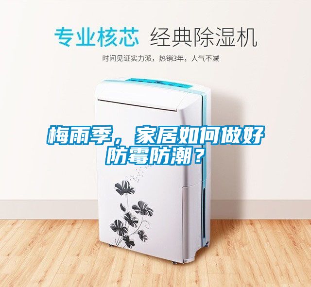 梅雨季，家居如何做好防霉防潮？