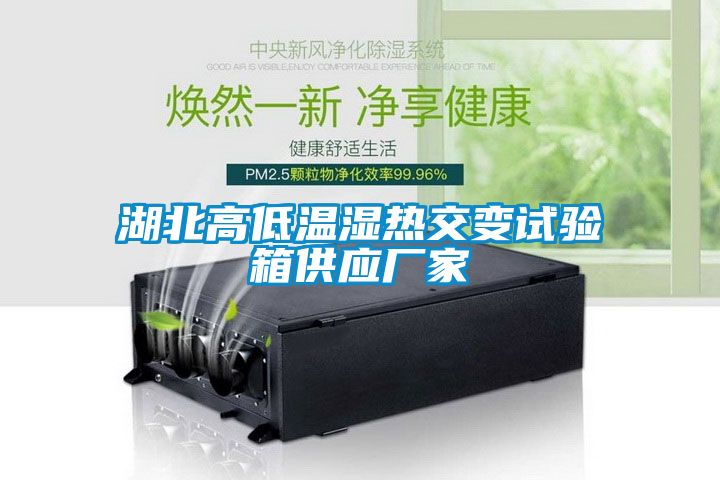 湖北高低溫濕熱交變試驗(yàn)箱供應(yīng)廠家