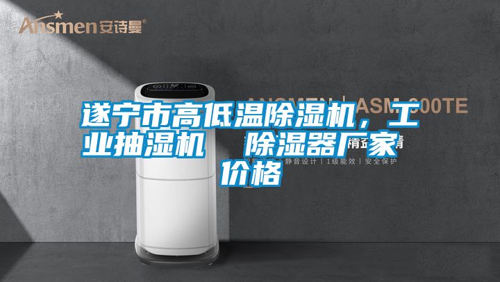 遂寧市高低溫除濕機，工業(yè)抽濕機  除濕器廠家 價格