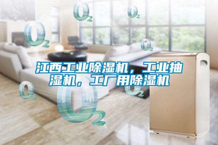 江西工業(yè)除濕機，工業(yè)抽濕機，工廠用除濕機