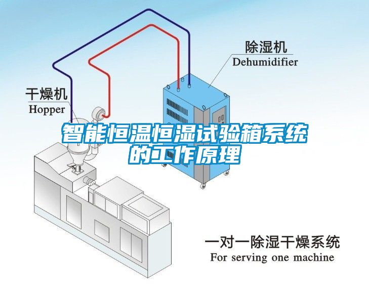 智能恒溫恒濕試驗(yàn)箱系統(tǒng)的工作原理