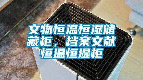 文物恒溫恒濕儲藏柜，檔案文獻(xiàn)恒溫恒濕柜