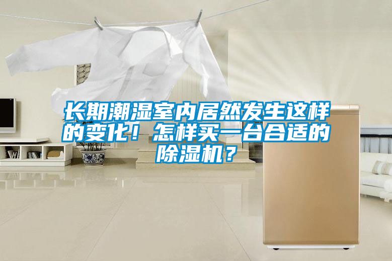長期潮濕室內(nèi)居然發(fā)生這樣的變化！怎樣買一臺合適的除濕機？