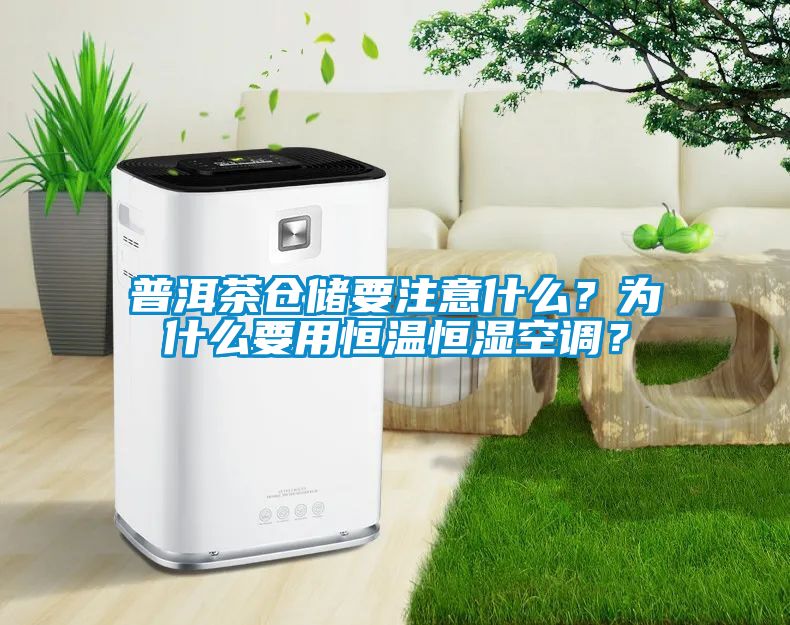普洱茶倉儲要注意什么？為什么要用恒溫恒濕空調？