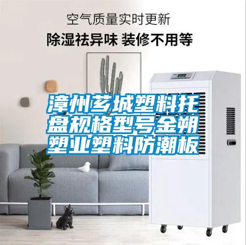 漳州薌城塑料托盤(pán)規(guī)格型號(hào)金朔塑業(yè)塑料防潮板