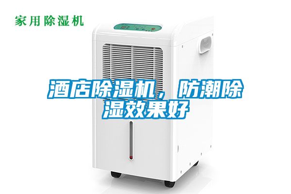 酒店除濕機(jī)，防潮除濕效果好
