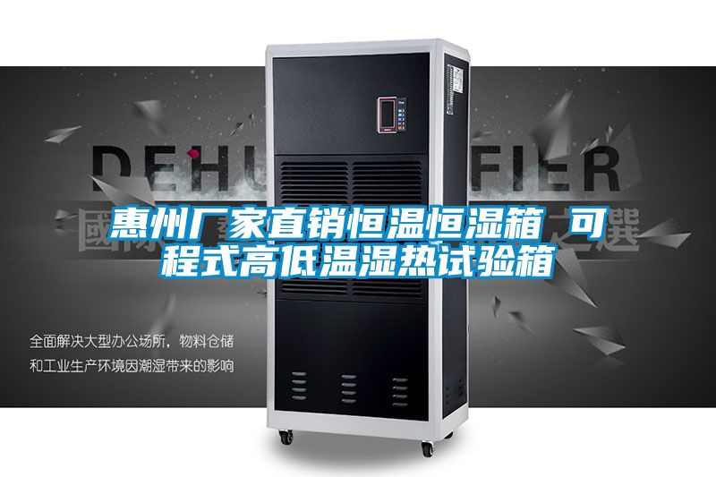 惠州廠家直銷恒溫恒濕箱 可程式高低溫濕熱試驗(yàn)箱