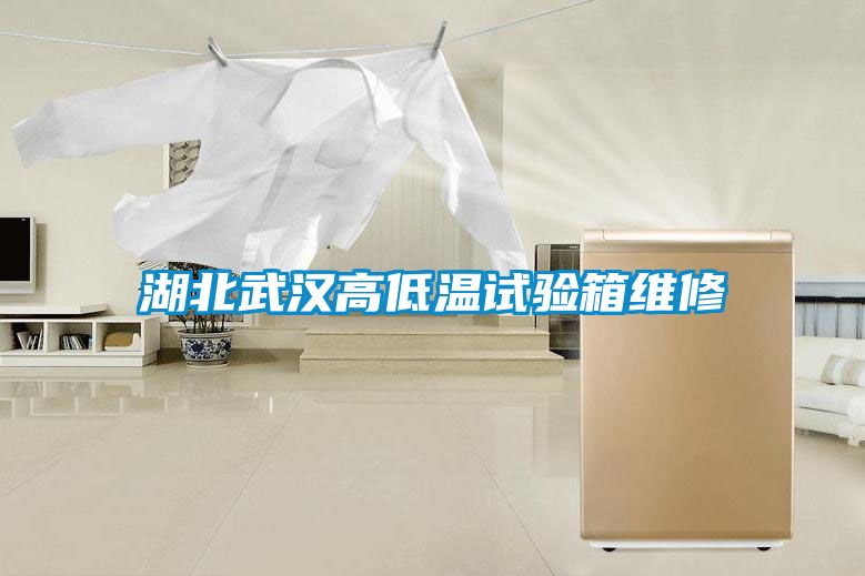 湖北武漢高低溫試驗(yàn)箱維修
