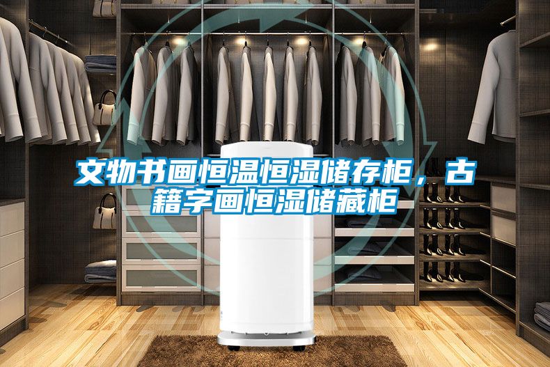 文物書畫恒溫恒濕儲存柜，古籍字畫恒濕儲藏柜