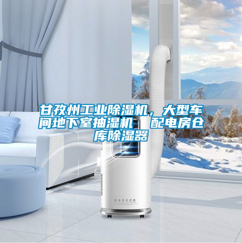 甘孜州工業除濕機，大型車間地下室抽濕機  配電房倉庫除濕器