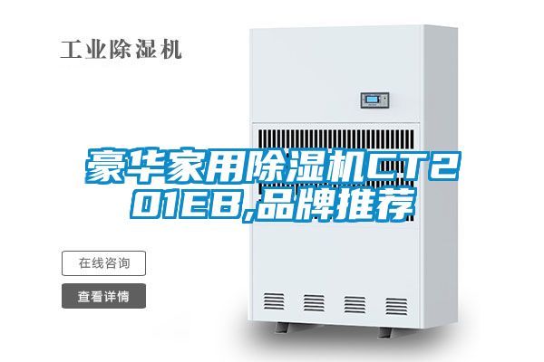 豪華家用除濕機(jī)CT201EB,品牌推薦