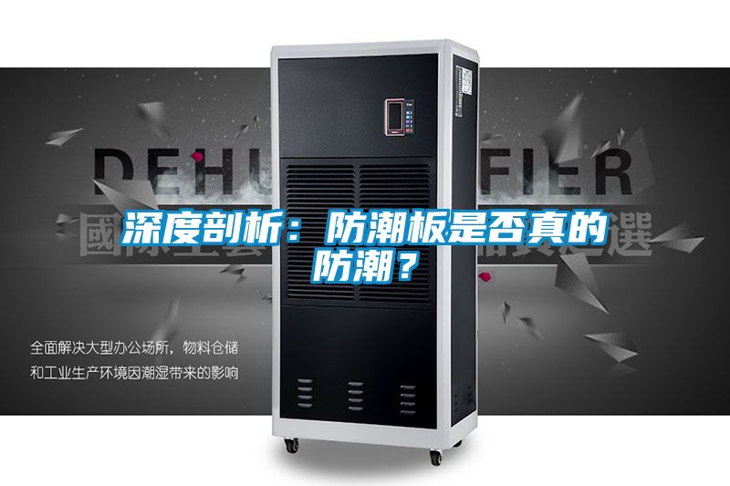 深度剖析：防潮板是否真的防潮？